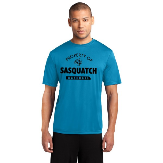 Sasquatch Men's Dri-Fit T-Shirt - Blue